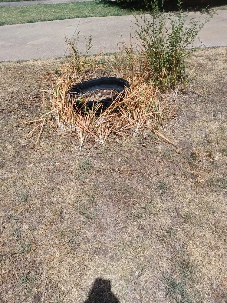 Expert outdoor landscaping experts serving Ponca City, OK - Total Land Solutions