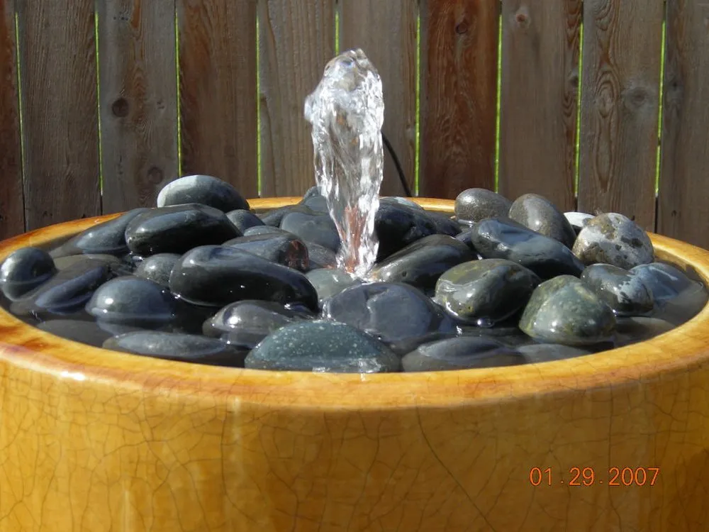 Professional lawn care service experts serving Mandeville, LA - Total Landscape and Irrigation