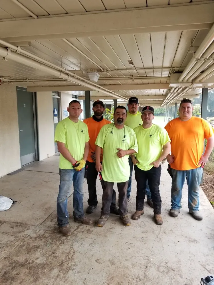 Trusted residential landscaping in Roseville, CA - Total Landscape Concepts