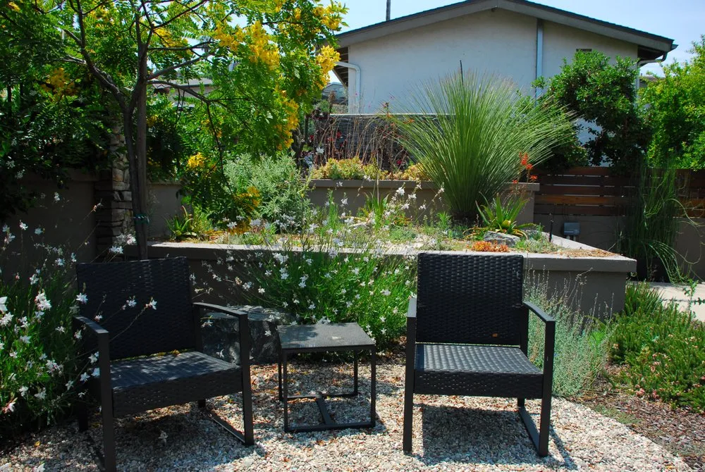 Expert yard maintenance in San Diego, CA by Total Landscape Designs & Development
