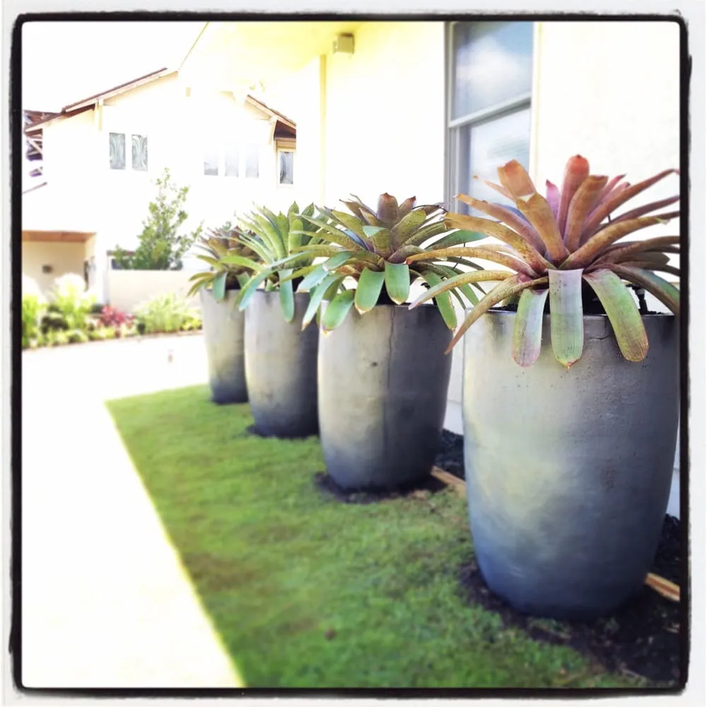 Affordable yard maintenance experts serving Honolulu, HI - Total Landscape Management