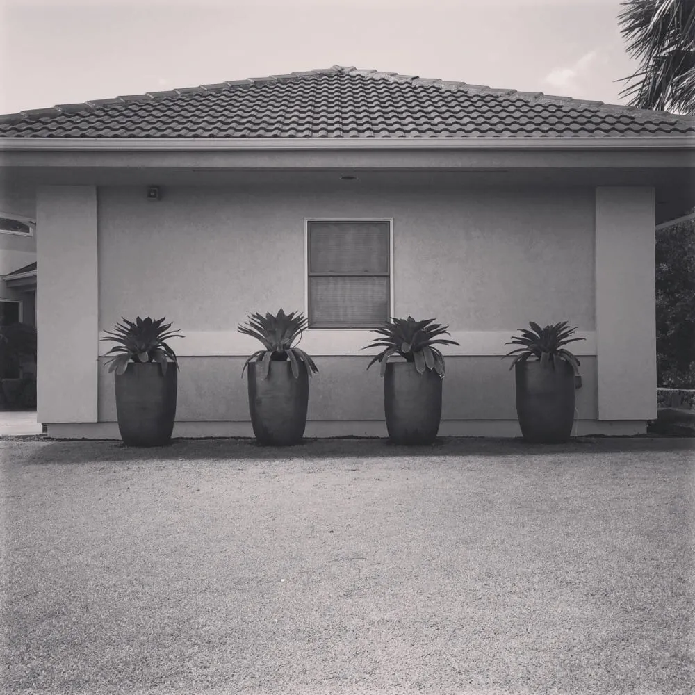 Affordable landscape design for year-round maintenance in Honolulu, HI by Total Landscape Management