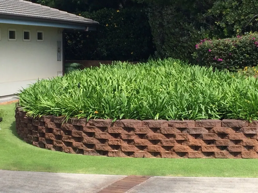 Professional lawn care service near you across Honolulu, HI - Total Landscape Management