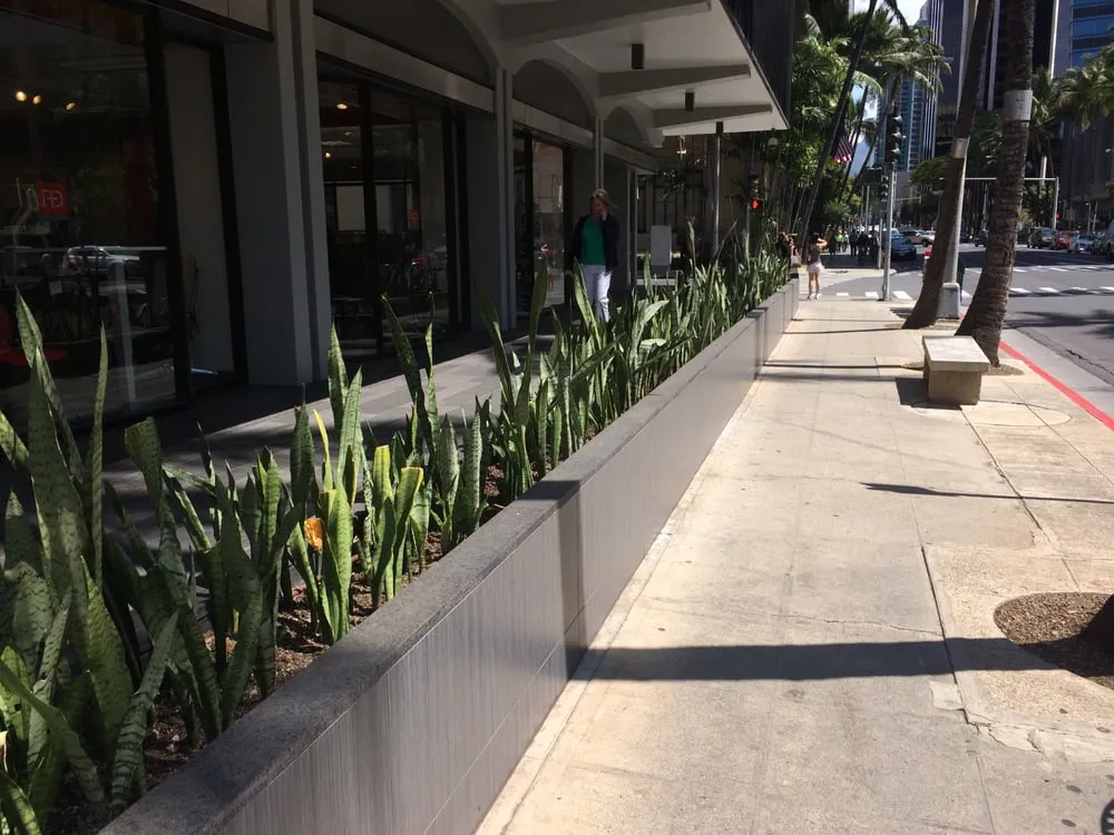 Affordable yard cleanup service in Honolulu, HI - Total Landscape Management