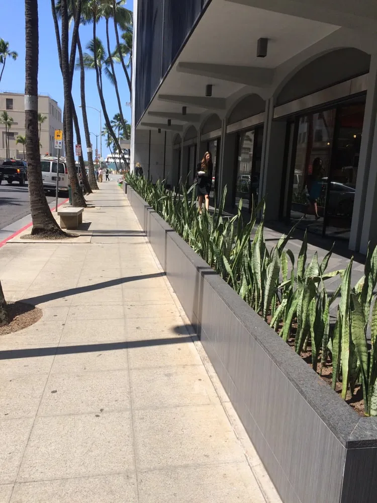 Reliable outdoor landscaping in Honolulu, HI by Total Landscape Management