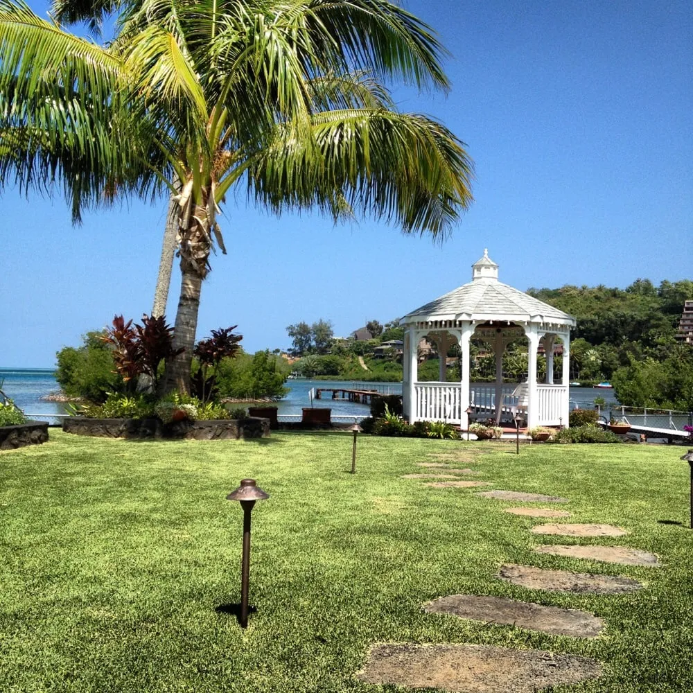 Affordable lawn care service experts serving Honolulu, HI - Total Landscape Management