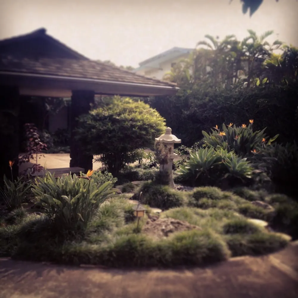 Reliable lawn mowing service in Honolulu, HI - Total Landscape Management
