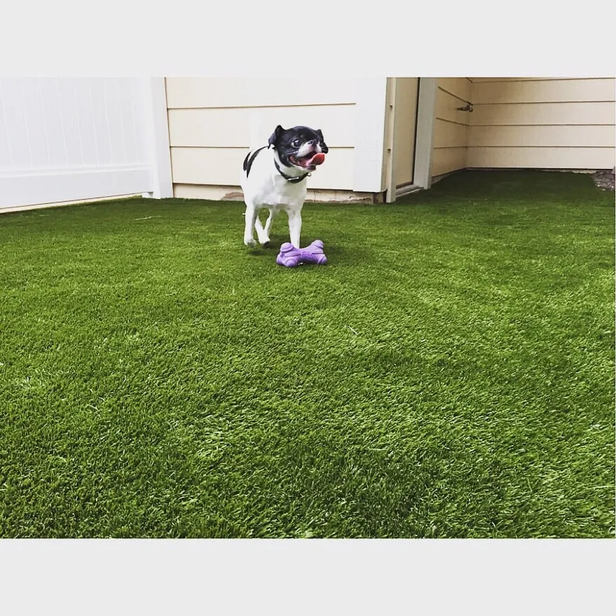 Top-rated landscape design in Honolulu, HI by Total Landscape Management