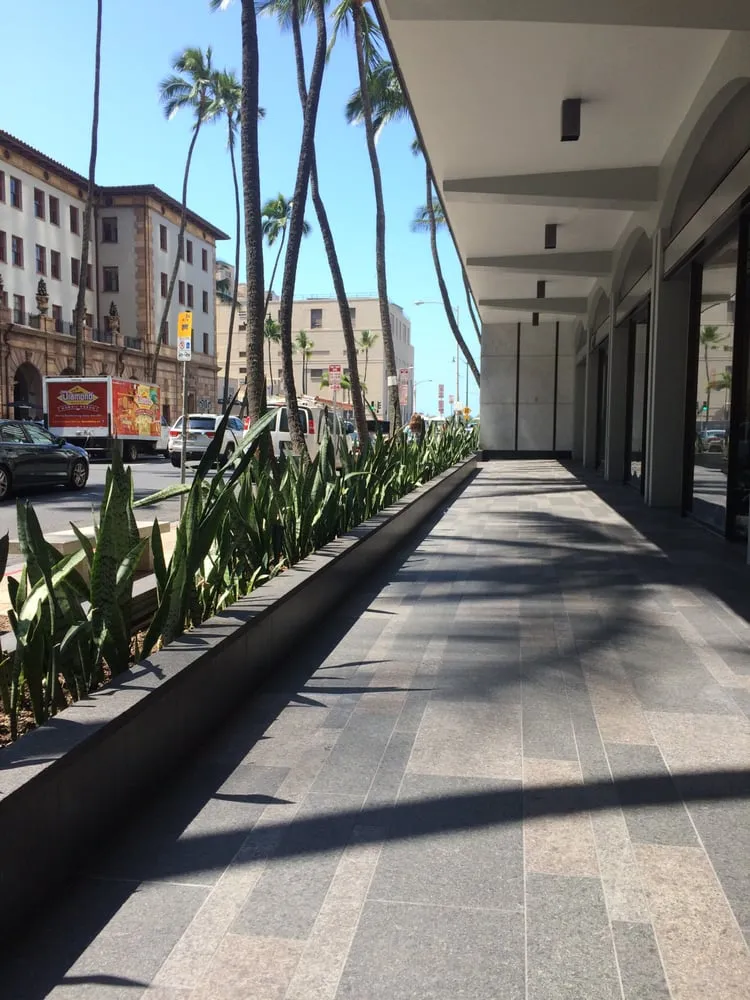 Top-rated landscaping services experts serving Honolulu, HI - Total Landscape Management