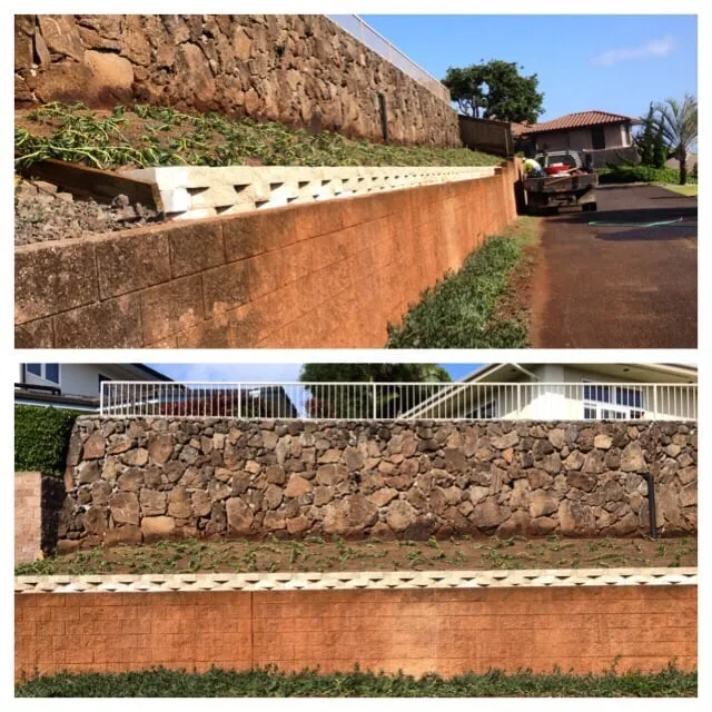 Top-rated yard maintenance in Honolulu, HI by Total Landscape Management