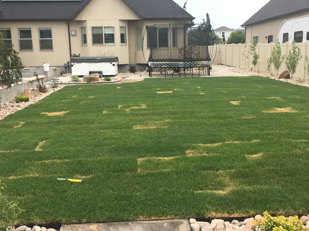 Affordable lawn care service for year-round maintenance in Sandy, UT by Total Landscape Management