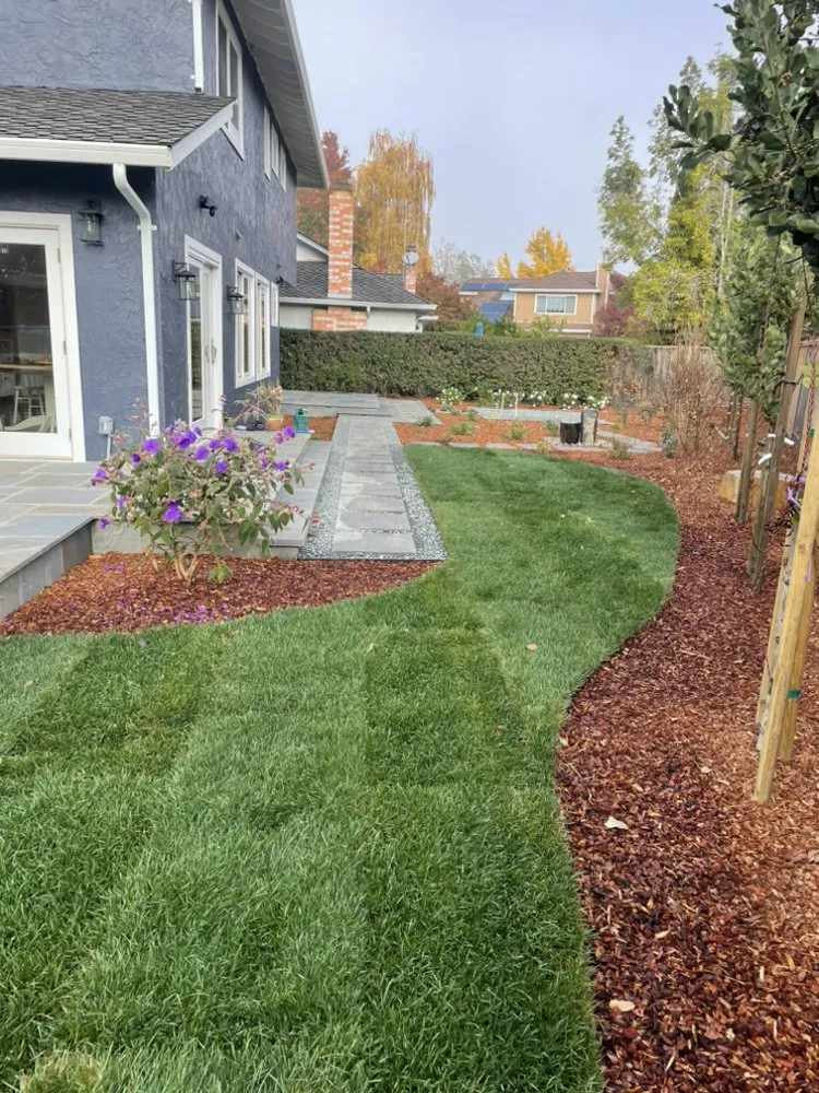 Trusted lawn mowing service experts serving Santa Clara, CA - Total Landscape