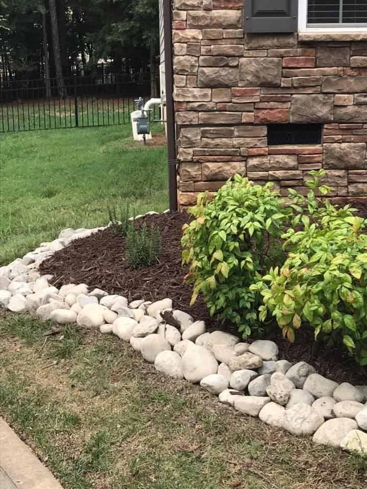 Reliable lawn care service for year-round maintenance across Charlotte, NC - Total Landscape Solution