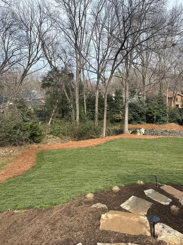 Custom yard cleanup service experts serving Charlotte, NC - Total Landscape Solution