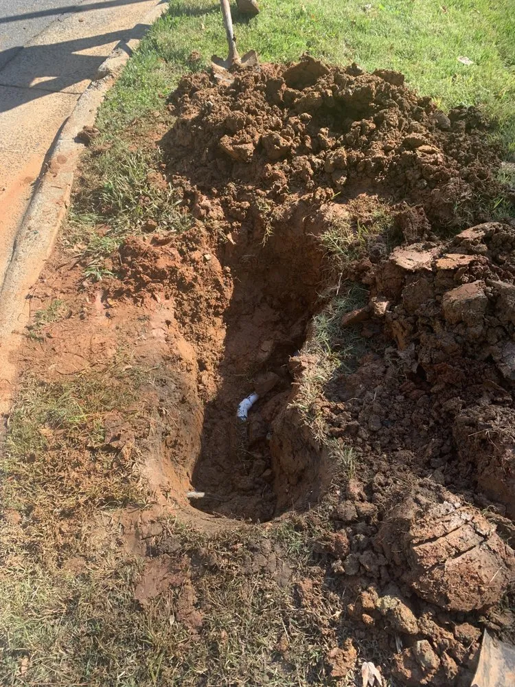 Affordable yard cleanup service experts serving Charlotte, NC - Total Landscape Solution