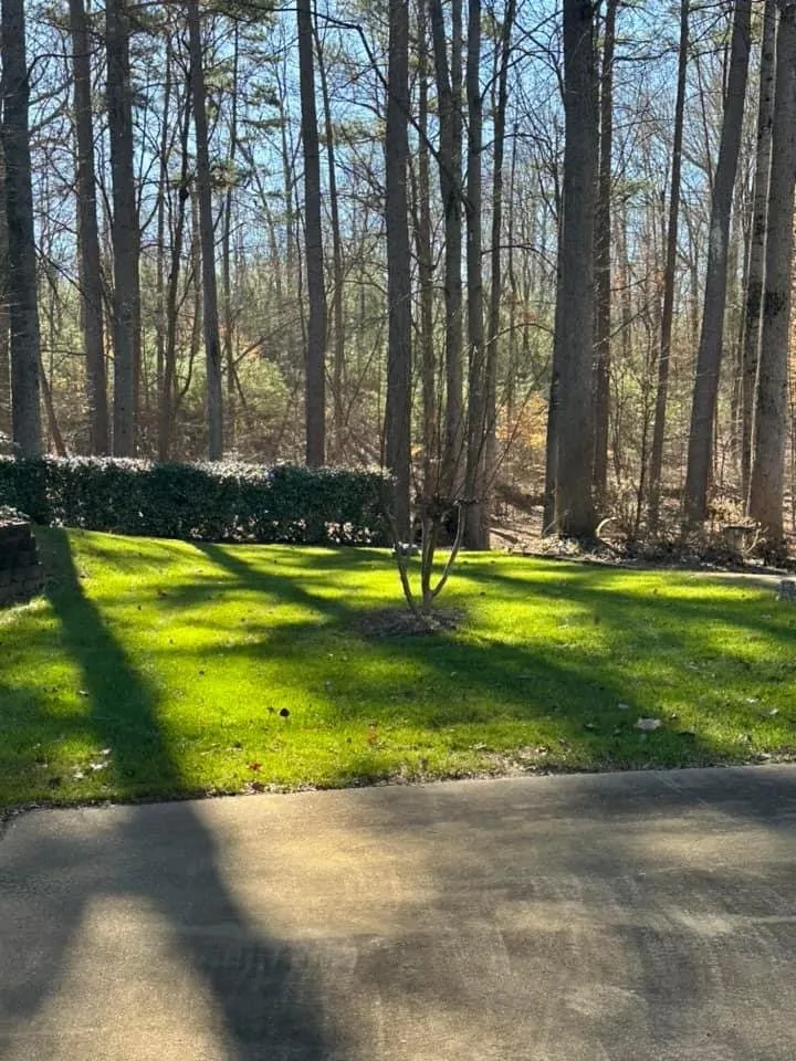Reliable lawn mowing service in Charlotte, NC by Total Landscape Solution