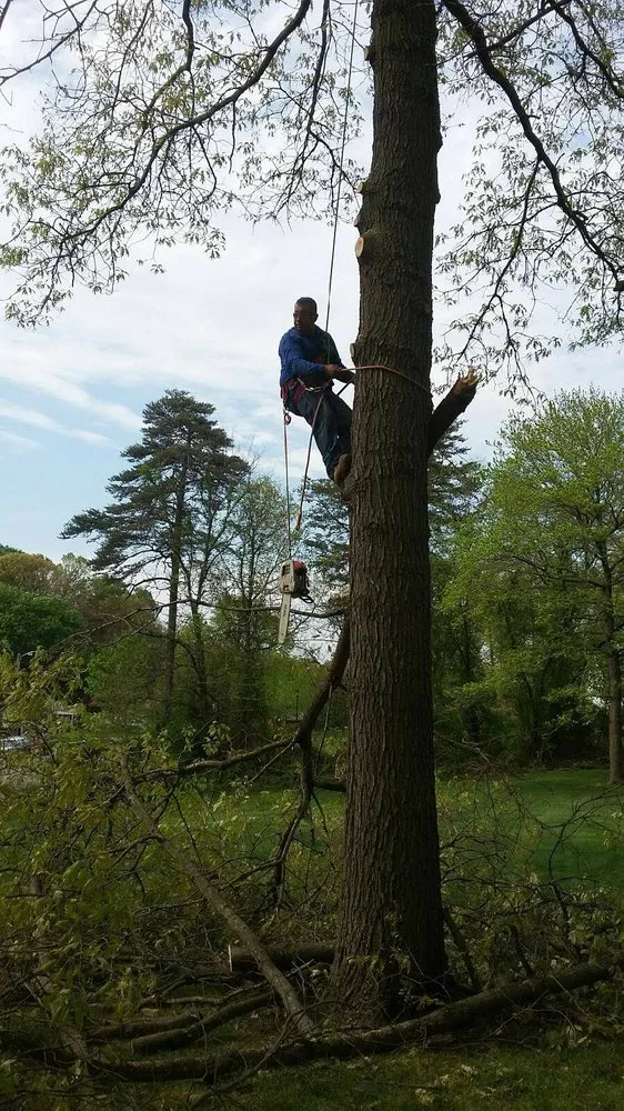 Top-rated outdoor landscaping with custom design across Crownsville, MD - Total Landscape Solutions