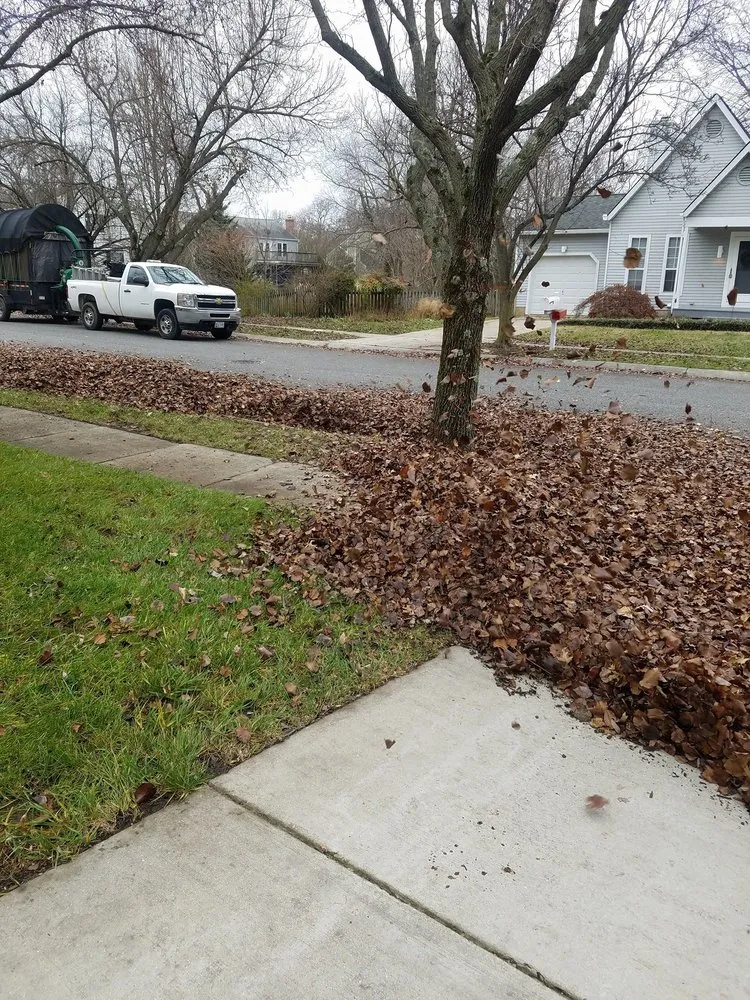 Trusted lawn mowing service for outdoor upgrades across Crownsville, MD - Total Landscape Solutions