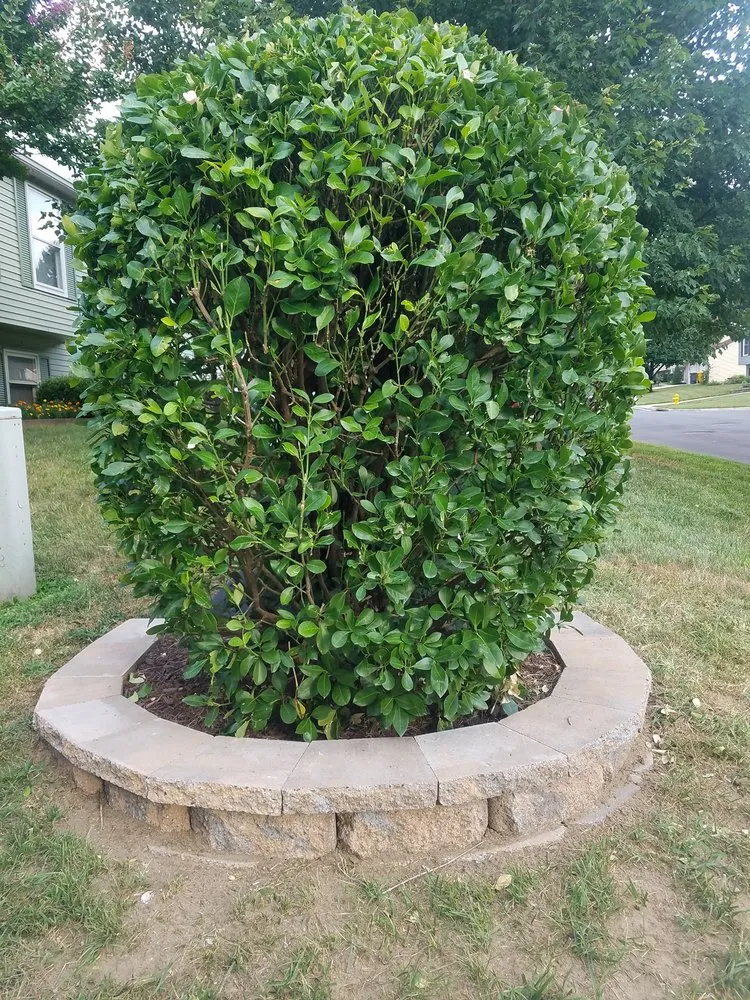 Local landscape installation in Crownsville, MD - Total Landscape Solutions