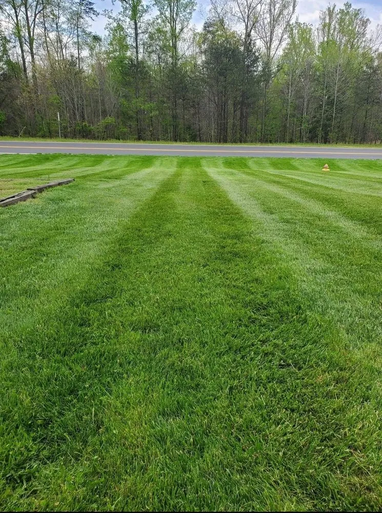Affordable lawn mowing service in Eden, NC by Total Landscape Solutions