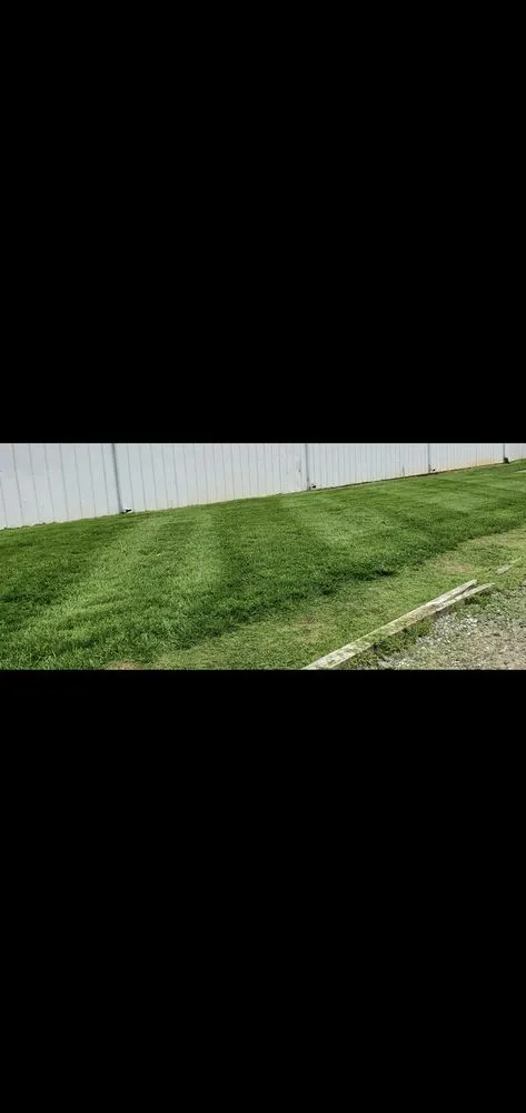 Trusted landscape design in Eden, NC - Total Landscape Solutions