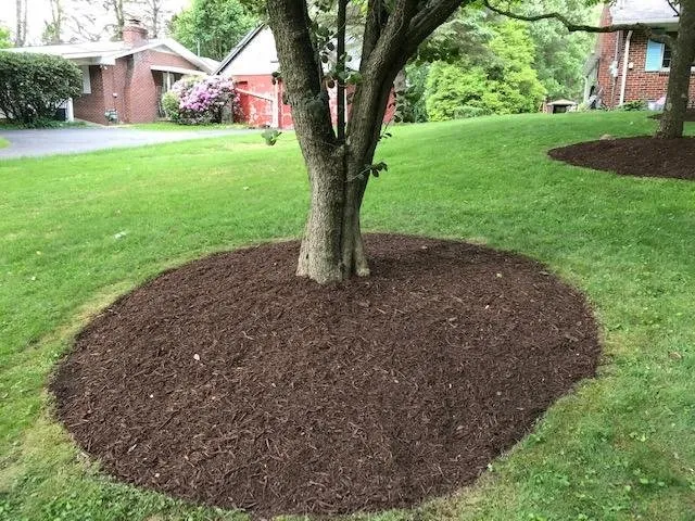 Trusted outdoor landscaping in Springdale, PA - Total Landscaping Concepts