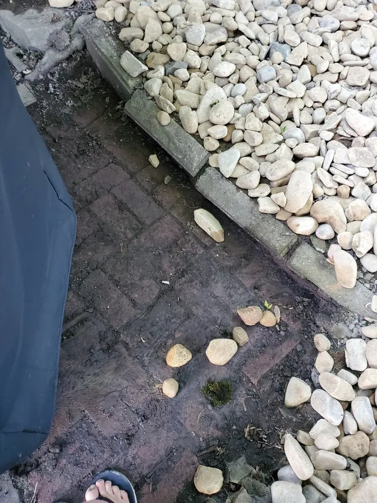 Professional lawn care service in Springdale, PA - Total Landscaping Concepts