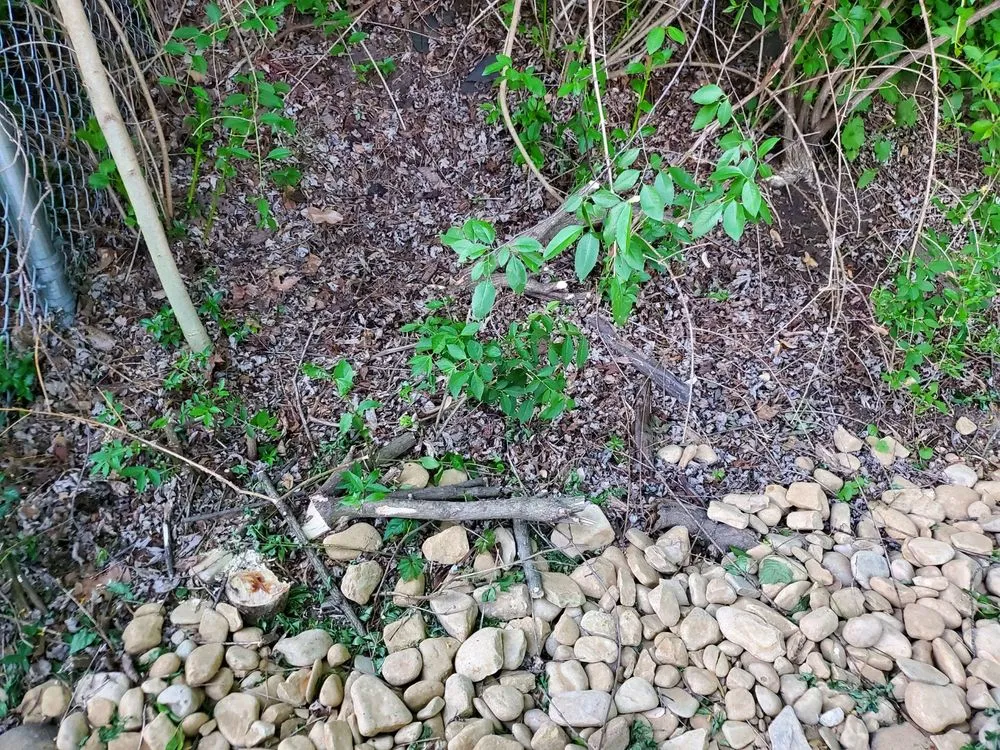 Custom landscaping services with custom design across Springdale, PA - Total Landscaping Concepts