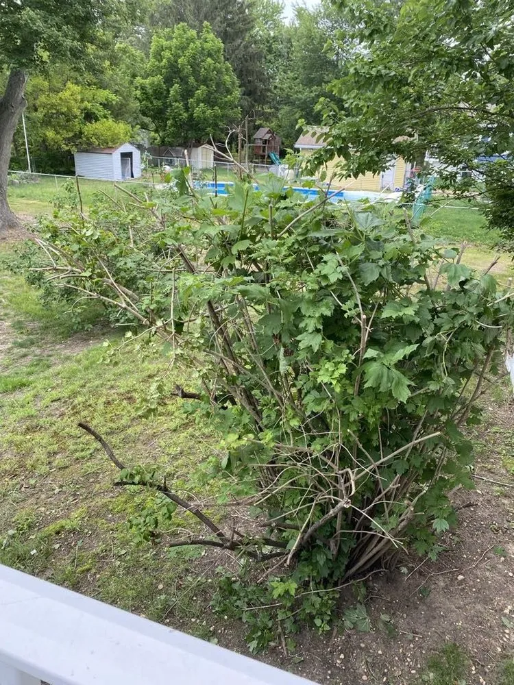 Expert outdoor landscaping with custom design in Mullica Hill, NJ by Total Landscaping Crew