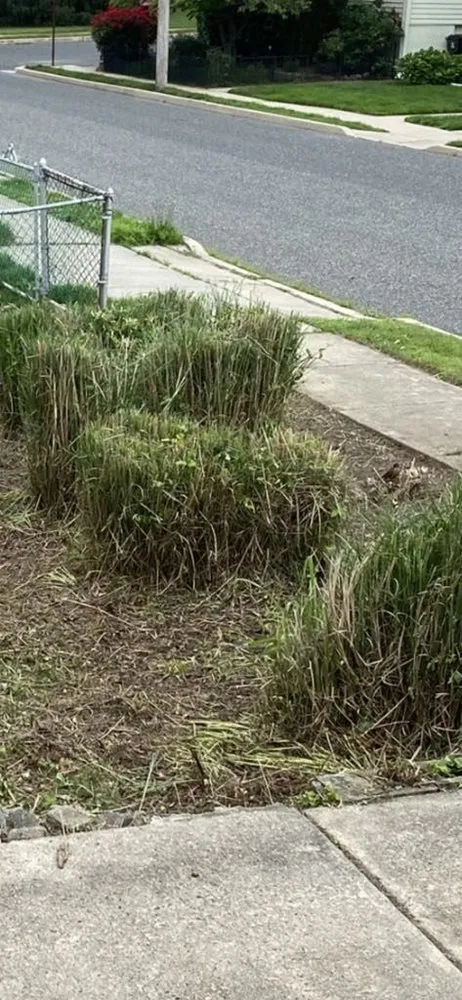 Professional landscape installation near you in Mullica Hill, NJ by Total Landscaping Crew