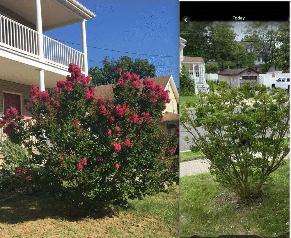 Expert yard maintenance for homes in Mullica Hill, NJ by Total Landscaping Crew