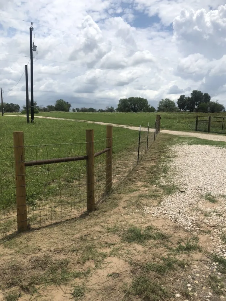 Affordable lawn care service in San Antonio, TX by Total Lawn & Driveway