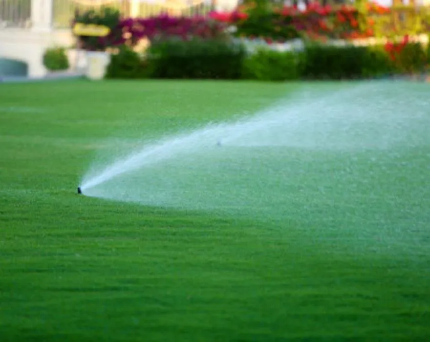 Local landscaping services for homes across Bakersfield, CA - Total Lawn & Sprinkler Solutions