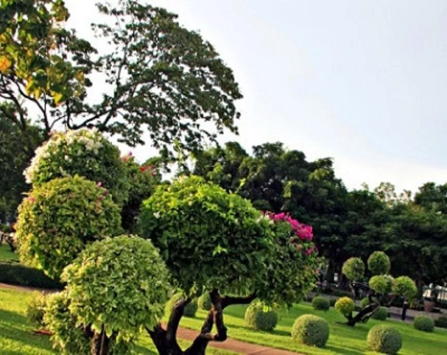 Reliable lawn care service in Bakersfield, CA - Total Lawn & Sprinkler Solutions