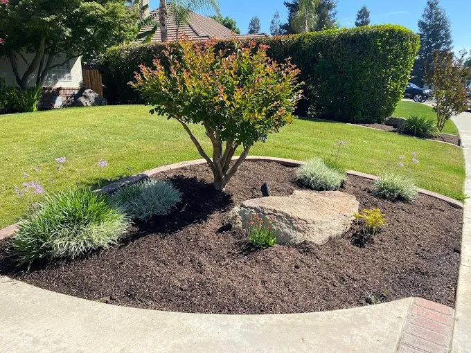 Top-rated landscaping services in Bakersfield, CA - Total Lawn & Sprinkler Solutions