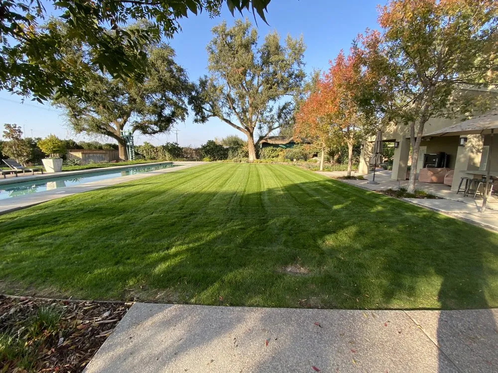 Affordable yard cleanup service in Bakersfield, CA by Total Lawn & Sprinkler Solutions