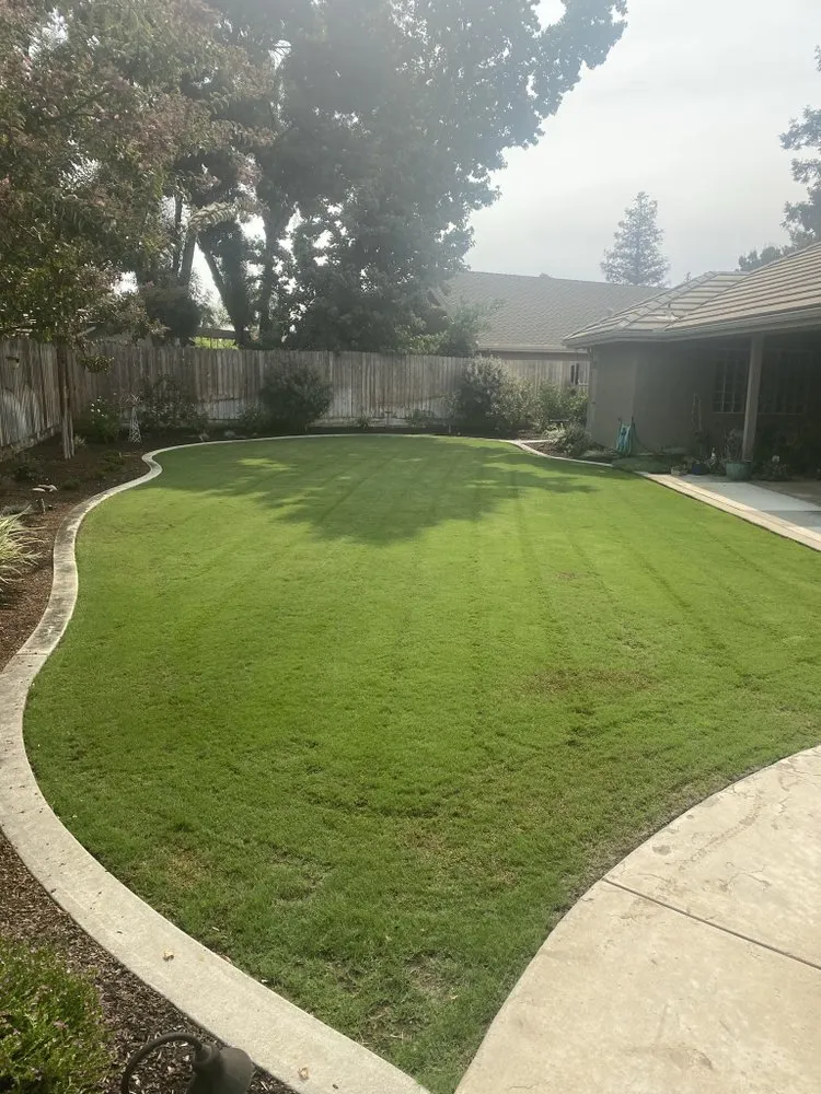 Affordable yard maintenance in Bakersfield, CA - Total Lawn & Sprinkler Solutions