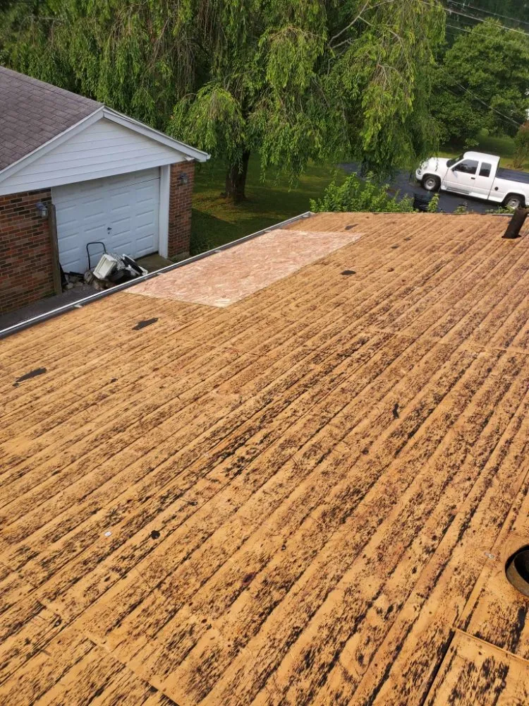 Affordable garden landscaping for year-round maintenance in Burgin, KY by Total Lawn and Roofing