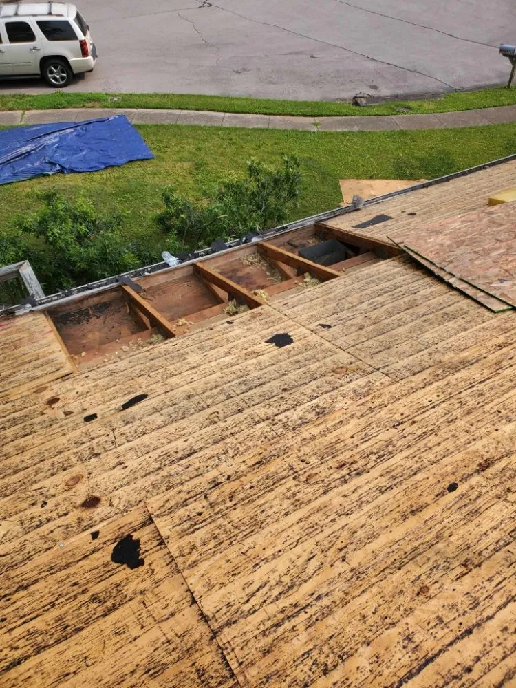 Top-rated garden landscaping experts serving Burgin, KY - Total Lawn and Roofing