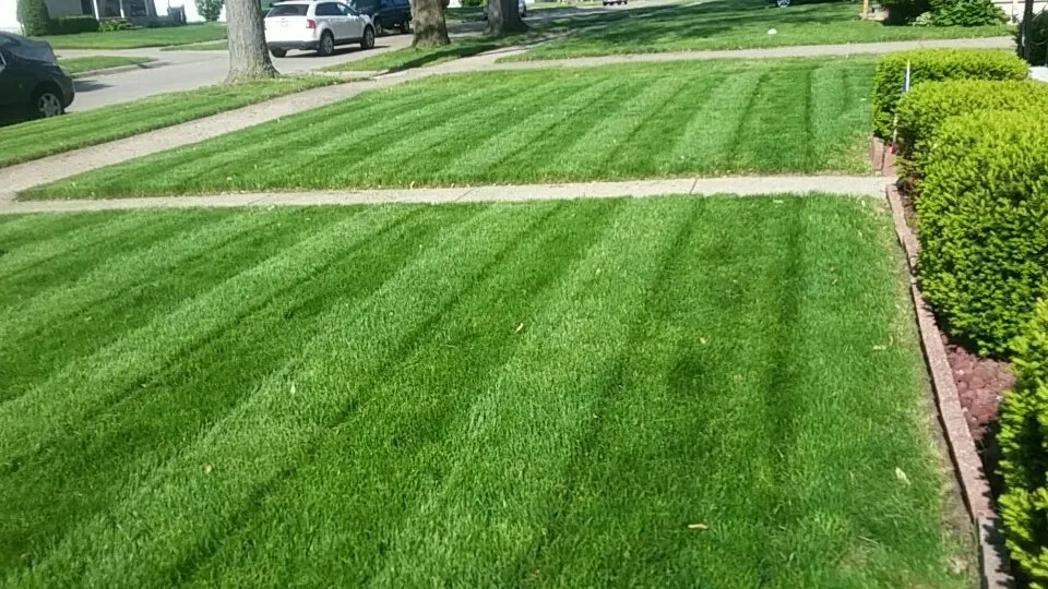 Reliable garden landscaping experts serving Garden City, MI - Total Lawn and Snow