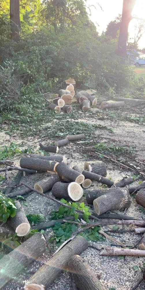 Professional garden landscaping for homes in Garden City, MI by Total Lawn and Snow