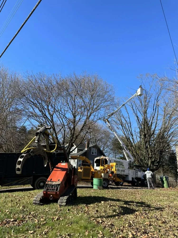 Expert lawn mowing service for beautiful yards in Washington, NJ by Total Lawn And Tree Service