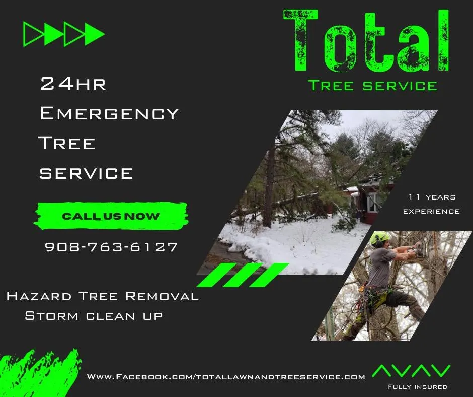 Professional garden landscaping in Washington, NJ by Total Lawn And Tree Service