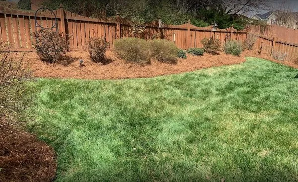 Total Lawn Care & Landscaping Logo