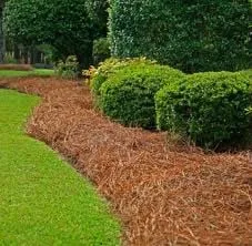 Top-rated lawn mowing service for beautiful yards across Sunset Beach, NC - Total Lawn Care & Landscaping