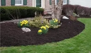 Professional yard maintenance in Sunset Beach, NC - Total Lawn Care & Landscaping