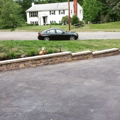 Total Lawn Care & More