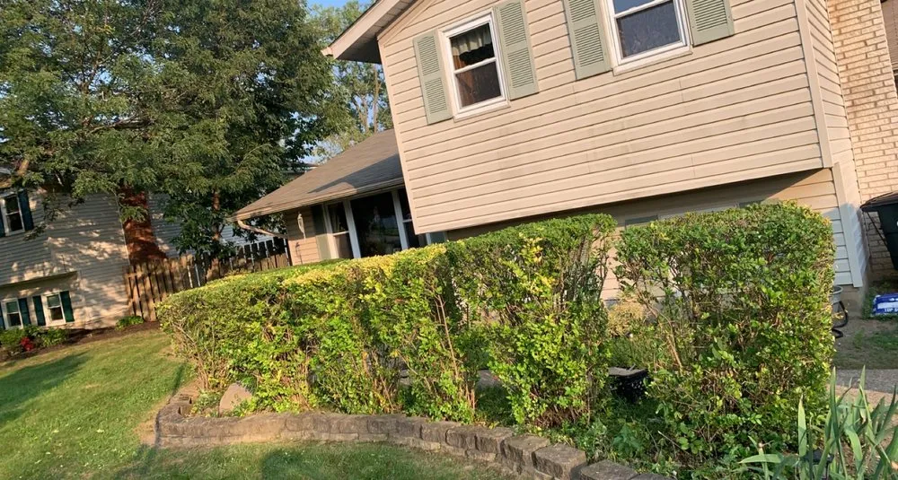 Expert lawn care service in Brunswick, OH - Total Lawn Care