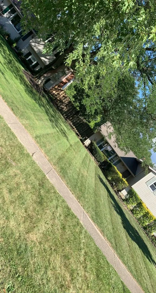 Reliable landscape installation in Brunswick, OH - Total Lawn Care