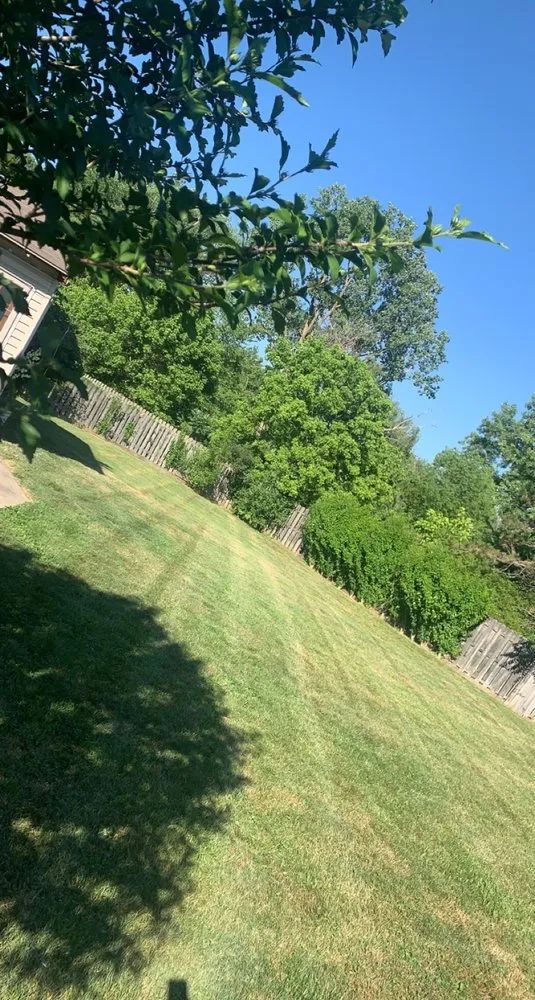 Affordable yard maintenance in Brunswick, OH - Total Lawn Care